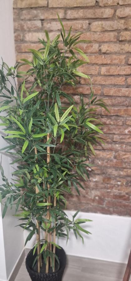 شقة Barcelona,Apartamento Con Terraza لوسبيتاليت دي يوبريغات المظهر الخارجي الصورة